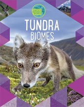 Earth's Natural Biomes: Tundra
