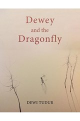 Dewey and the Dragonfly - Dewi Tudur - 9781528994941