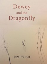 Dewey and the Dragonfly - Dewi Tudur - 9781528994958