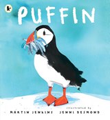 Puffin - Martin Jenkins - 9781529513639