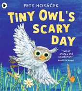 Tiny Owl's Scary Day