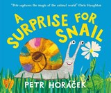 A Surprise for Snail - Petr Horacek - 9781529531831