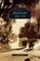Detroit, BAK,  Richard - Gebonden - 9781531619268