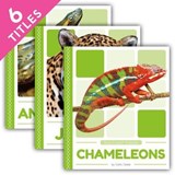 Rain Forest Animals - GOLKAR,  Golriz - 9781532160233