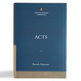 ACTS THE CHRISTIAN STANDARD CO - SCHREINER,  Patrick - 9781535914949