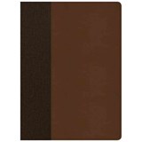 CSB Life Essentials Study Bible, Brown Leathertouch, Indexed - GETZ,  Gene A. - 9781535956475
