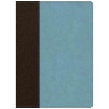 CSB Life Essentials Study Bible, Brown/Sky Leathertouch, Indexed - GETZ,  Gene A. - 9781535956499