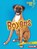 Boxers, FRANK,  Sarah - Gebonden - 9781541555716
