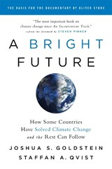 A Bright Future - Joshua S. Goldstein - 9781541724112