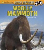 Woolly Mammoth (Little Paleontologist)