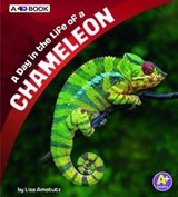 A Day in the Life of a Chameleon - AMSTUTZ,  Lisa J. - 9781543531763