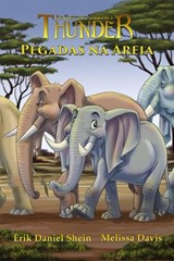Pegadas na Areia - Erik Daniel Shein - 9781547598328