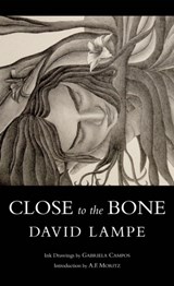 Close to the Bone - David Lampe - 9781550968811