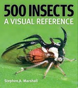 500 Insects - Stephen A. Marshall - 9781554073450