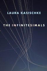 The Infinitesimals - KASISCHKE,  Laura - 9781556594663