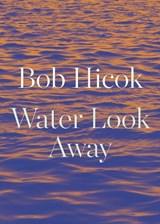Water Look Away - Bob Hicok - 9781556596506