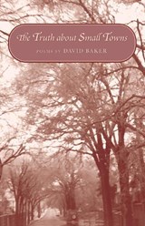 The Truth about Small Towns - David Baker - 9781557285171
