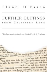 Further Cuttings - Flann O'Brien - 9781564782410