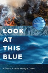 Look at This Blue - Allison Adelle Hedge Coke - 9781566896207