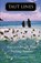 Taut Lines, PIERCE,  Cameron - Paperback - 9781567926132