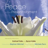 Peace in the Present Moment