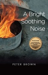 A Bright Soothing Noise - Brown, Peter - 9781574412918