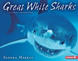 Great White Sharks - Sandra Markle - 9781575057477