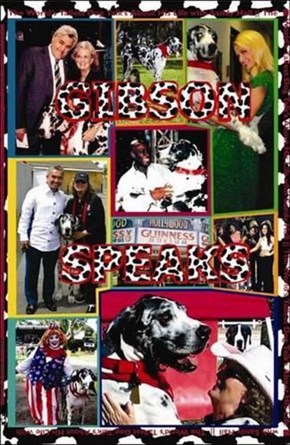 Gibson Speaks, HALL,  Sandy - Paperback - 9781576010952
