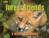 Forest Friends - June Eding - 9781578265015