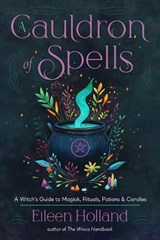 A Cauldron of Spells - Eileen Holland - 9781578639045