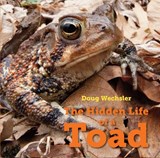 The Hidden Life of a Toad - Doug Wechsler - 9781580897389