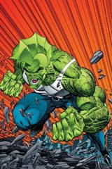 Savage Dragon Archives - LARSEN,  Erik - 9781582407234