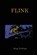 Flink, Doug Tennapel - Paperback - 9781582408910