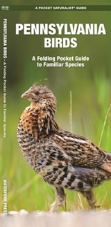 Africa Birds: A Folding Pocket Guide to Familiar Species - James Kavanagh - 9781583550335
