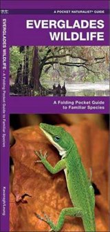 Everglades Wildlife - KAVANAGH,  James - 9781583552551