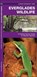 Everglades Wildlife, KAVANAGH,  James - Gebonden - 9781583552551