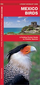 Mexico Birds - KAVANAGH,  James - 9781583554807