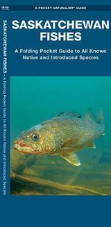 Saskatchewan Fishes - MORRIS,  Matthew - 9781583559772
