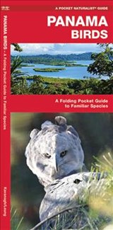 Panama Birds - James Kavanagh - 9781583559840