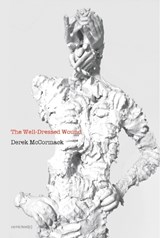 The Well-Dressed Wound - Derek McCormack - 9781584351740