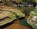 Finger Lakes, LINNEHAN,  Den - Gebonden - 9781590131602