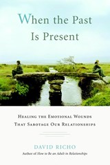 When the Past Is Present - David Richo - 9781590305713