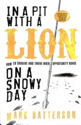 In a Pit With a Lion on a Snowy Day - BATTERSON,  Mark - 9781590527153