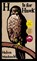 H Is for Hawk, MACDONALD,  Helen - Paperback - 9781594139314