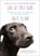 Love at First Bark, KLAM,  Julie - Paperback - 9781594486159