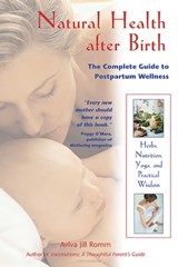 Natural Health after Birth - Aviva Jill Romm - 9781594775949