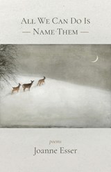 All We Can Do Is Name Them - Joanne Esser - 9781594981432