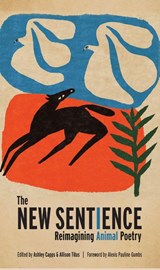 The New Sentience - Ashley Capps ; Allison Titus - 9781595343031
