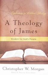 Theology Of James, A - Christopher W. Morgan - 9781596380844