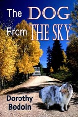 The Dog From the Sky - Dorothy Bodoin - 9781597050715